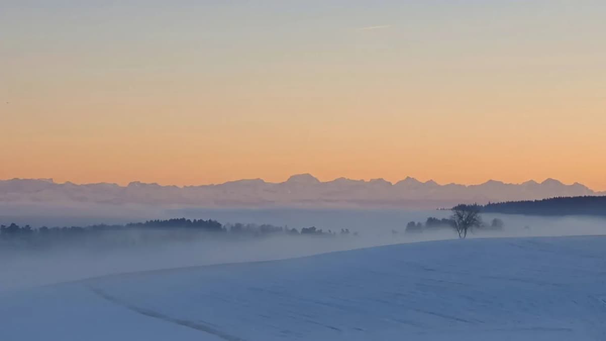 Verschneite Hügellandschaft im Morgennebel, am Horizont eine Alpenkette in warmem Dämmerlicht, ein einzelner kahler Baum